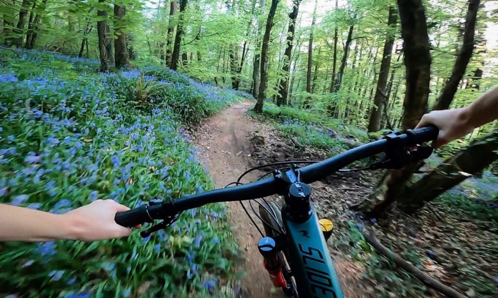 bike amongst bluebells